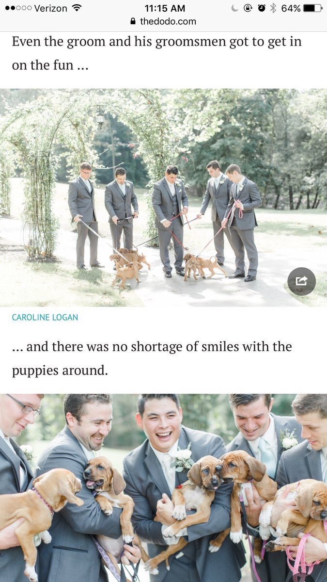 "What color flowers do you want at your wedding?" 

Me: