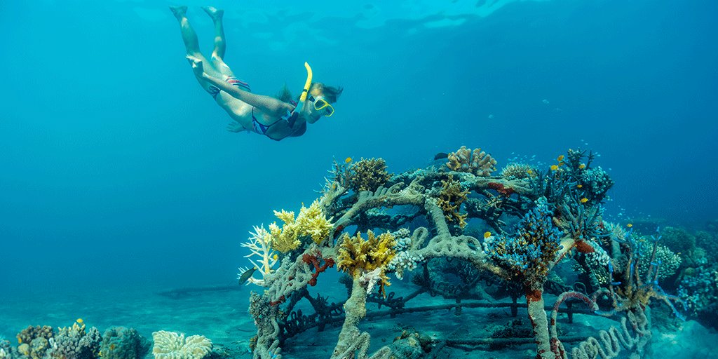 wonderfulid's tweet photo. Pemuteran invites divers to plunge into its deep blue sea during the Buleleng Bali Dive Festival 23-26 Oct. #WonderfulIndonesia https://t.co/pWnu8YWCph