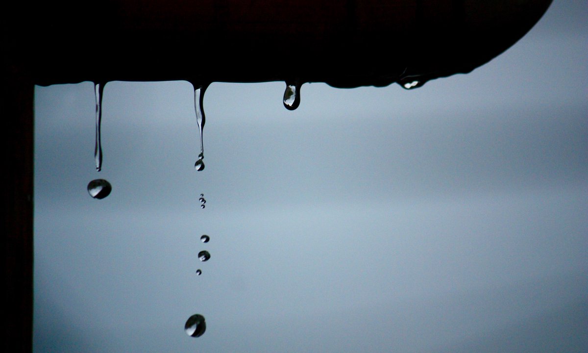 ysds99's tweet image. 雨ですねぇ。雫がいい感じで撮れた。

#写真好きな人と繋がりたい
#ファインダー越しの私の世界