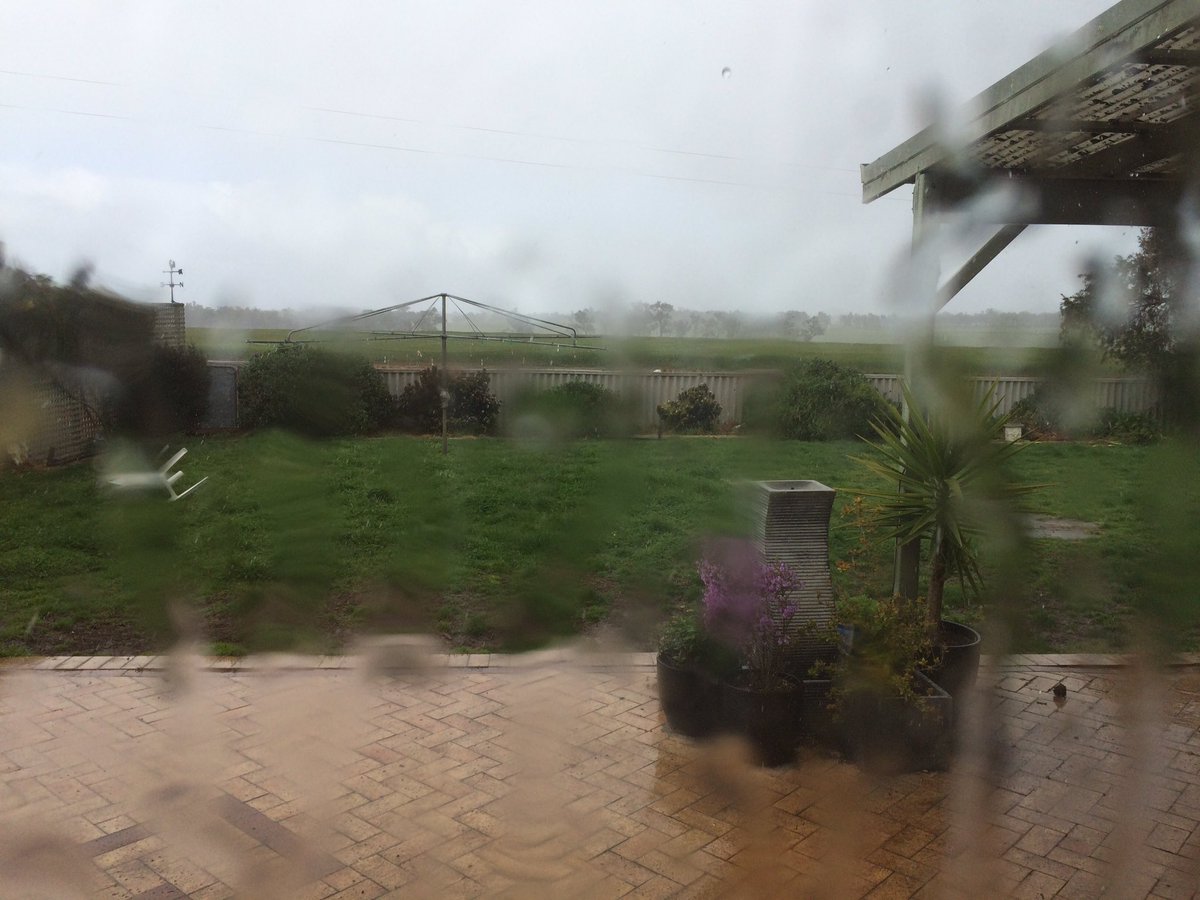 More of the wet stuff. One dry day per week isn't Spring. Pushing up to the 800 mm mark! Ave is 550mm