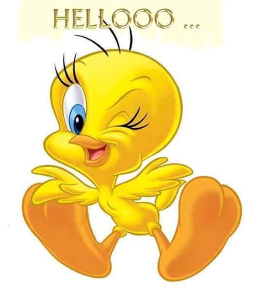 SMoton's tweet image. 