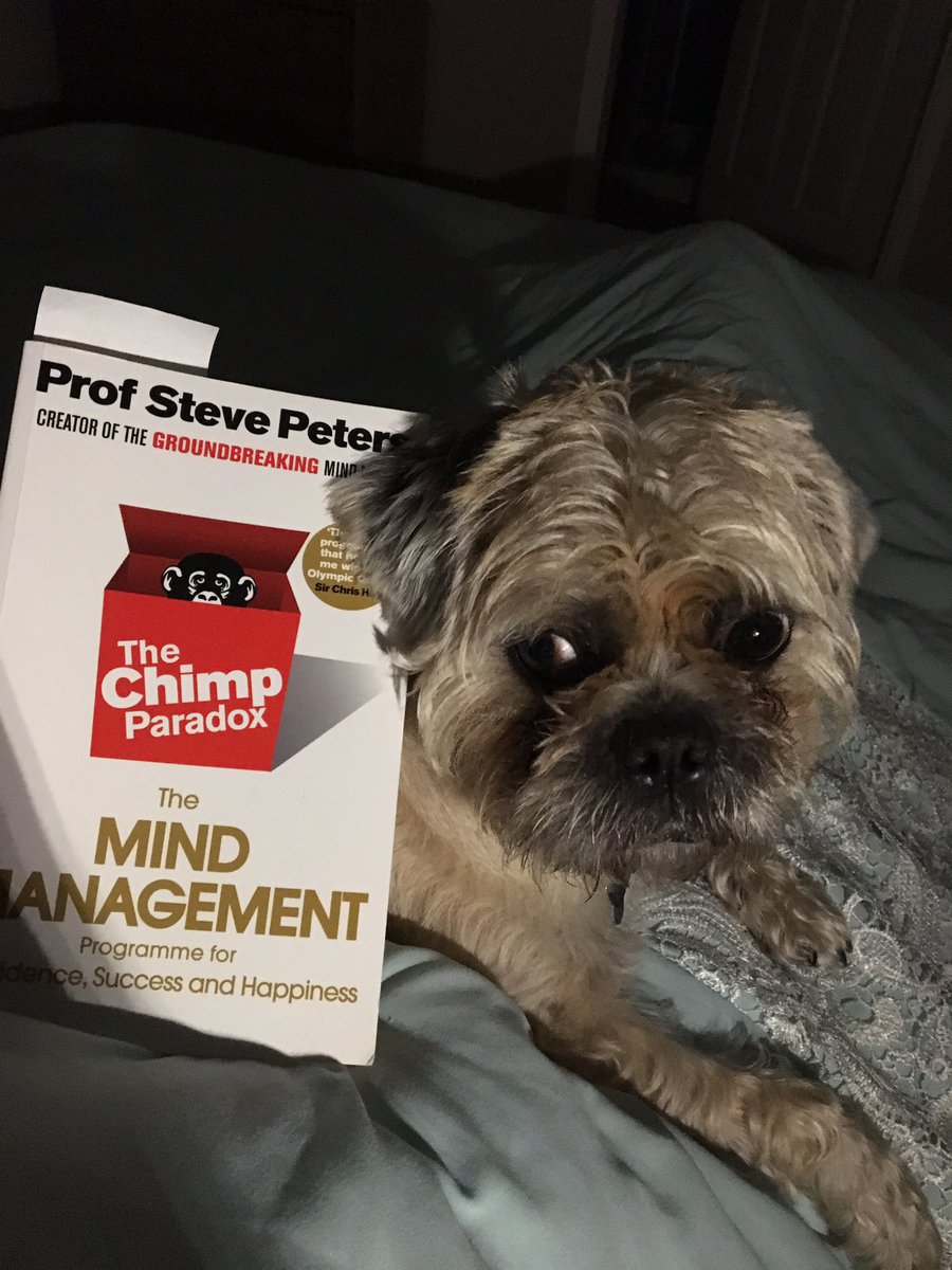 prospglobal's tweet photo. Early night with a good book and the scruffy puppy dog! #selfdevelopment #pushon #pugcross #puppylove https://t.co/zTMrgUiRlx