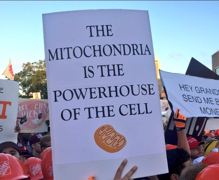 Mitochondria_GO's tweet photo. Dats right 👏🏼 https://t.co/JQadBC81a3