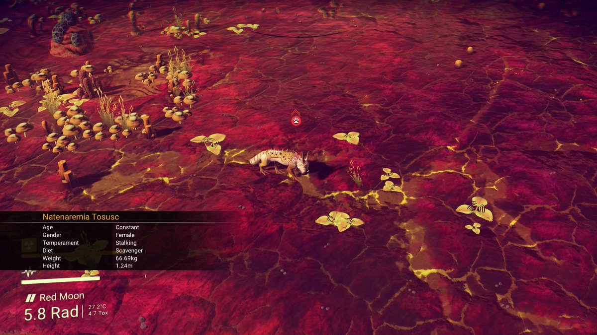ViolentPayload's tweet photo. #PS4share Meat in the hold after getting jumped #GalacticHunt https://t.co/44JUG37nju