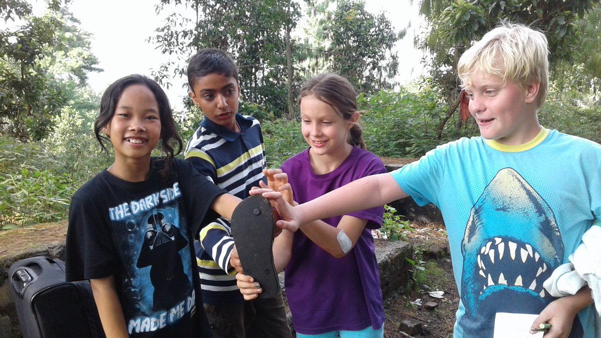 TBSsocialsci's tweet photo. Year 7 trip to Hattiban. Trekking, fun, games and lots of smiles. https://t.co/g9W34jqke0