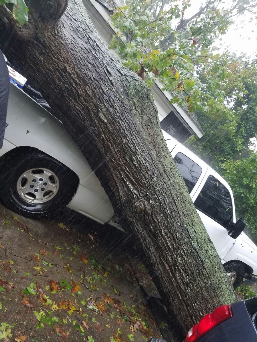 HambrgrHinderer's tweet photo. @FAYPWC no but really though our tree fall down go boom https://t.co/fsAlGYzMnr