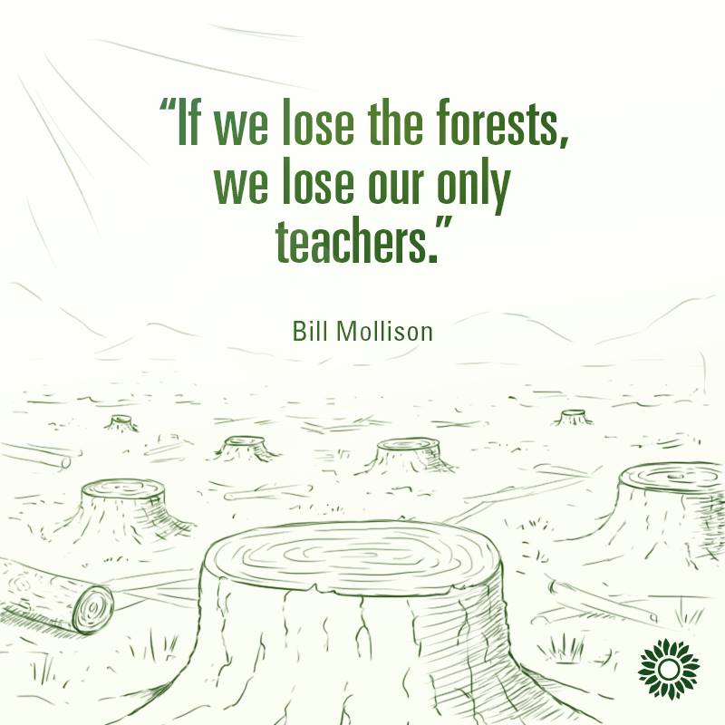 Thanks for #beautifulpermaculture ...