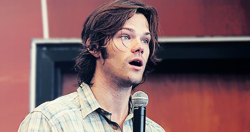 bestjaredspics's tweet photo. ART https://t.co/9Qvv3zopvU