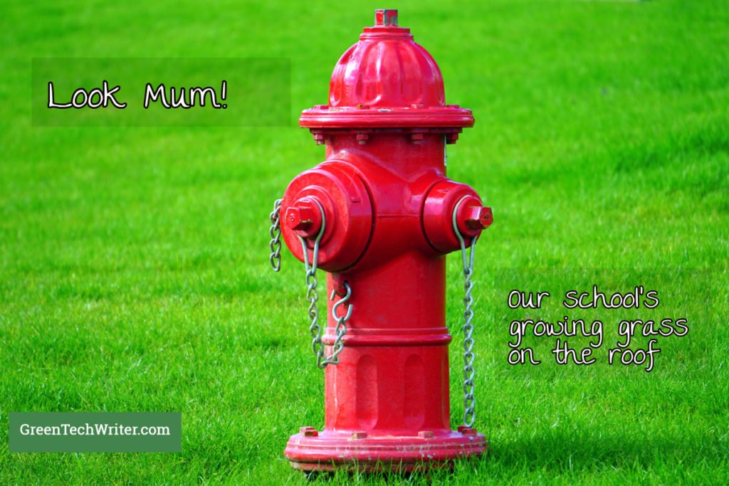 Look Mum, Our School is Growing Grass on The Roof - greentechwriter.com/look-mum-our-s…