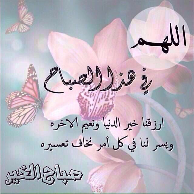 AQA1R's tweet photo. 🍃

سُبحانك رَبي مَا مَنعتْ عنّا خيراً 
  الا لِترزقنا احسّن مِنہ 

        صباح الخير❤✋🏻 https://t.co/3w7khjuIbM