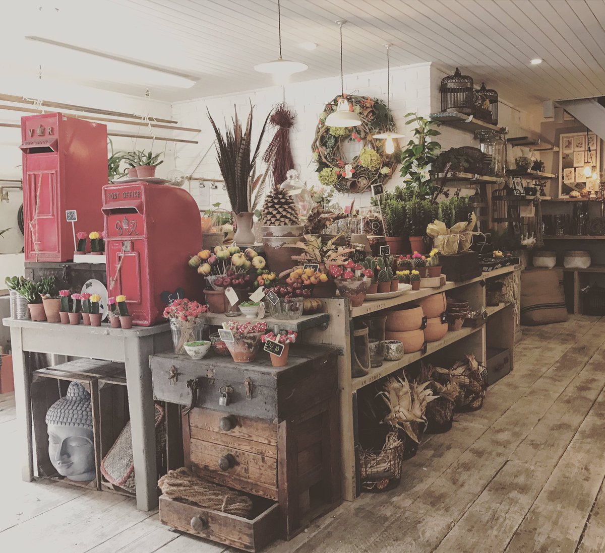 Open every Sunday from 11am - 3pm x