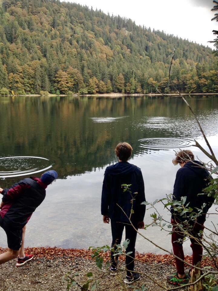 BridgeHouseSchl's tweet photo. #RSIC2016 #BlackForest hike, sights &amp; sounds @BridgeHouseSchl #PreConferenceTour https://t.co/olQOa9MoDU