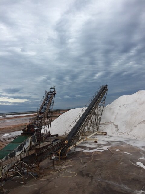 Thanks <a href="/OlssonsSalt/">Olsson's Salt</a> for the tour - truly impressive product #chefslife #saltplant #whyalla #familyownedandoperated