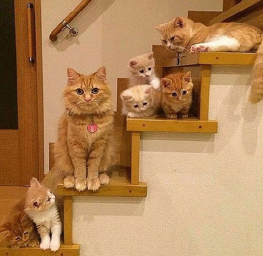 I wonder what they're waiting for?