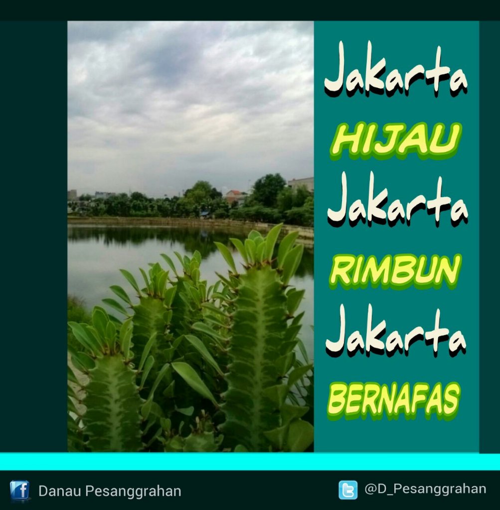 D_Pesanggrahan's tweet photo. Berıkan ruang tuk tumbuhBerıkan ruang tuk bernafasBıarkan ıa  rımbunMnjadi tempat tuk bernaung#DanauPesanggrahan https://t.co/1LlXIGYfX8