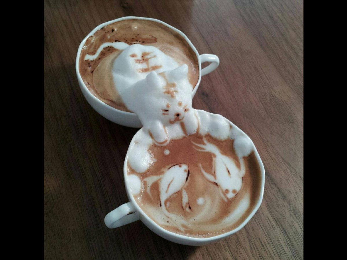 cinquecento62's tweet photo. Hey #tourcats This looks like something you'll all like https://t.co/seuz8E2syl