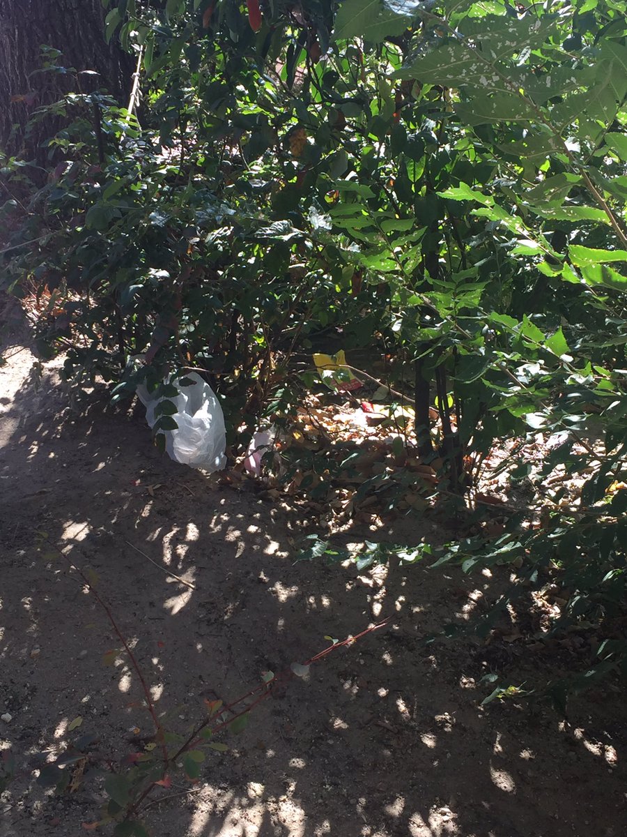 Silvia Duro tweet media