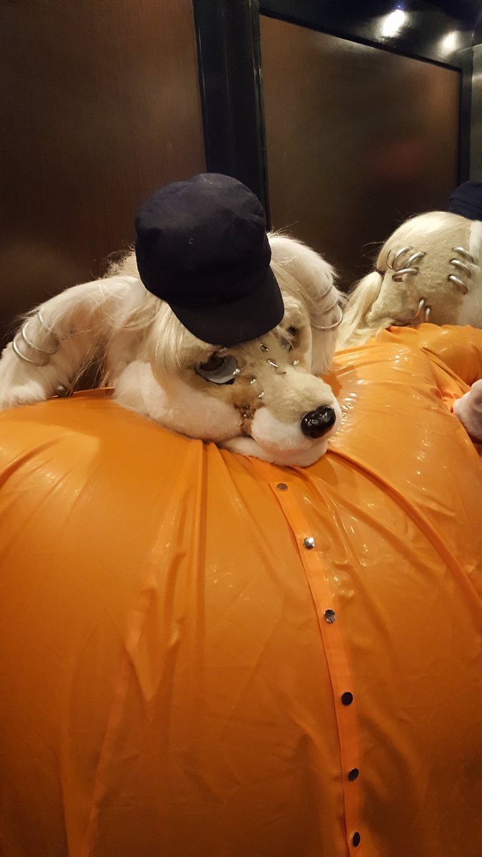 PropzillaFolf's tweet photo. Stuck in the elevator.... #FR2016 https://t.co/watycHCFuD