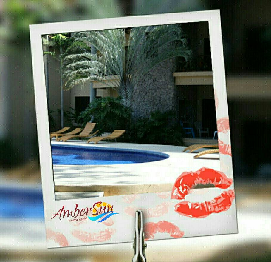 AmberSunVR's tweet photo. Five Star Alert! ⭐⭐⭐⭐⭐ Review! 
https://t.co/65h0s4mOHb  #AmberSunFun #Myeyecandylife #AmberSun #turtles #costarica https://t.co/vWNDFcHQVu