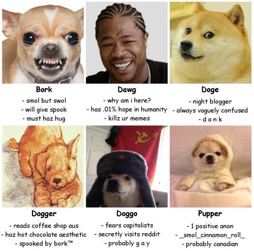 TheMemeCode tweet picture