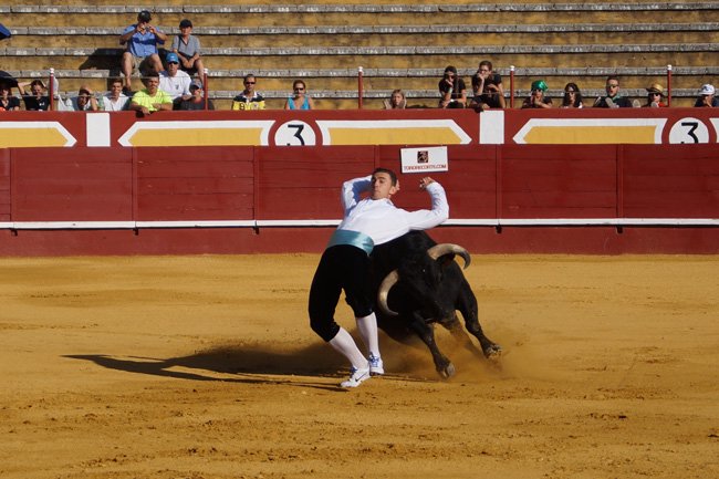 Javier Manso “Balotelli” luchará por el título de campeón de España en Zaragoza cuellar7.com/javier-manso-b… .@MIGUELsego <a href="/rafamachaquito/">Rafacarbonero</a>