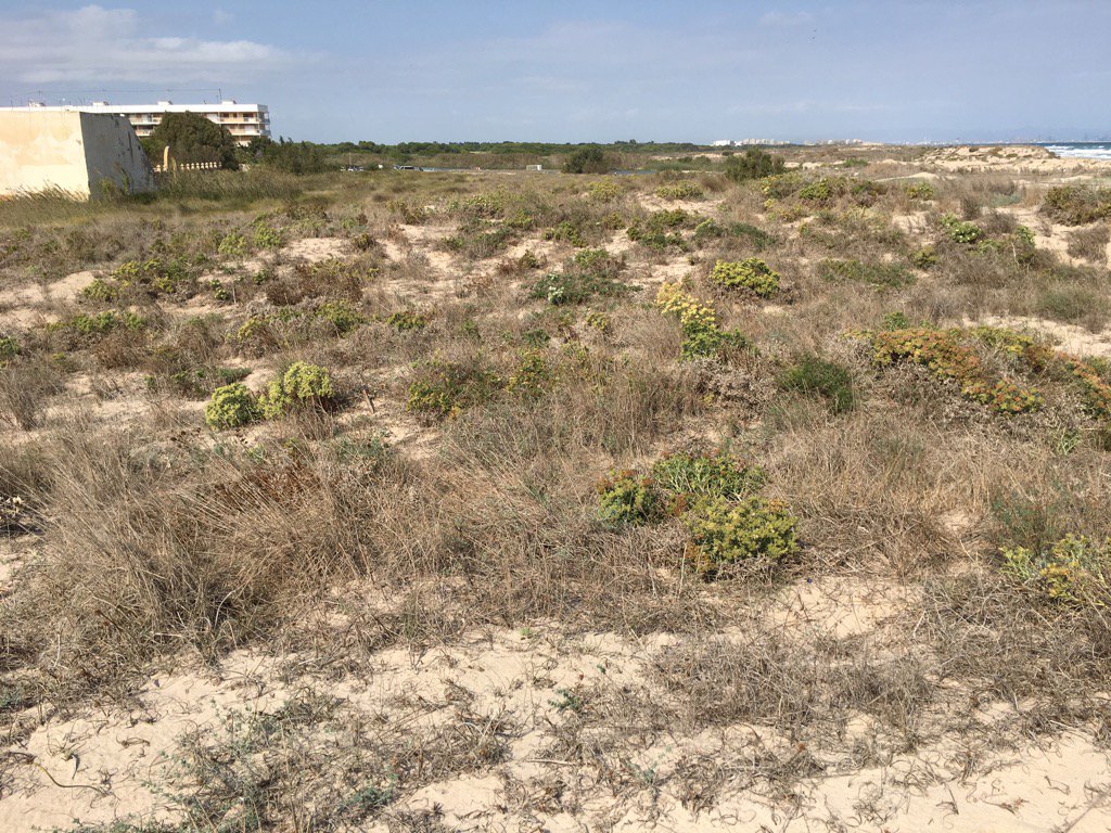 JeanPaul_57's tweet photo. Se ve ya el trabajo de reforestación de los voluntarios de AXA de Todo Corazón @FundacionAXA @AXASegurosEs https://t.co/eVNjd6CDrA