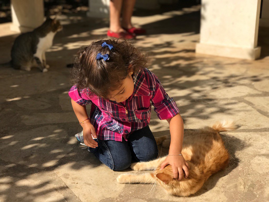 MarcoModicano's tweet image. Il mio primo ritratto #iPhone7Pluscamera