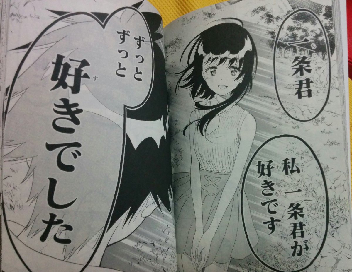 ニセコイ最終巻