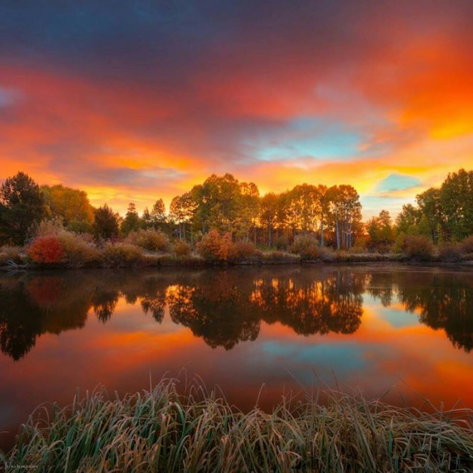 ibizweb's tweet image. Video Marketing is an Amazing Way to Enhance your Website and Business…
youtube.com/c/AfricaSevenm…