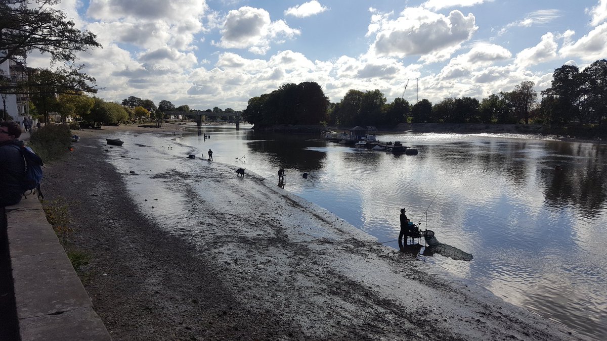 MikeBrettSmith's tweet photo. A very active River Thames in Chiswick today, #fishing #rowing #cayaking #boating #treasurehunting @riverhomes @London_W4 #nofilterphone https://t.co/PcqiUiRgwS
