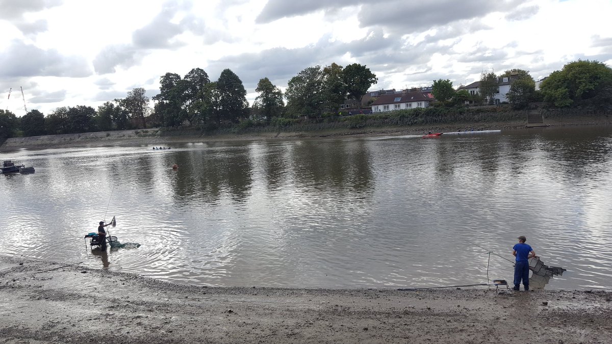 MikeBrettSmith's tweet photo. A very active River Thames in Chiswick today, #fishing #rowing #cayaking #boating #treasurehunting @riverhomes @London_W4 #nofilterphone https://t.co/PcqiUiRgwS