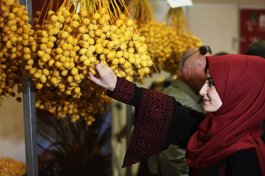 بالصور : #غزة  معرض بلح #فلسطين في منتجع الشاليهات 