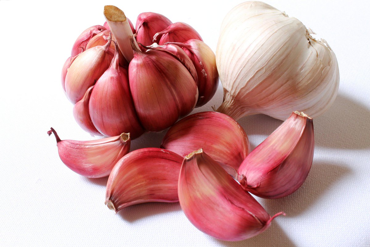 cubeincircle1's tweet photo. Boost Your Immune System With This #recipe --> https://t.co/UZ5vxoXkn2
#health #superfoods #garlic #healthcare https://t.co/Wo02ixhLR7