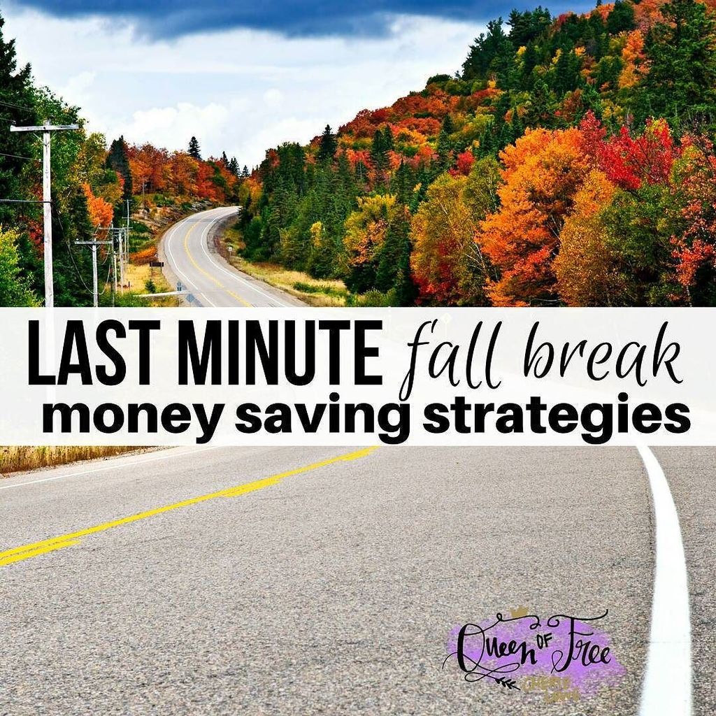 Thequeenoffree's tweet photo. No plans? No sweat! Tune into or stream WTHR at 745 AM for ways to plan and save on #FallB… https://t.co/bdFOKkdFYz https://t.co/XcHUstXIo5