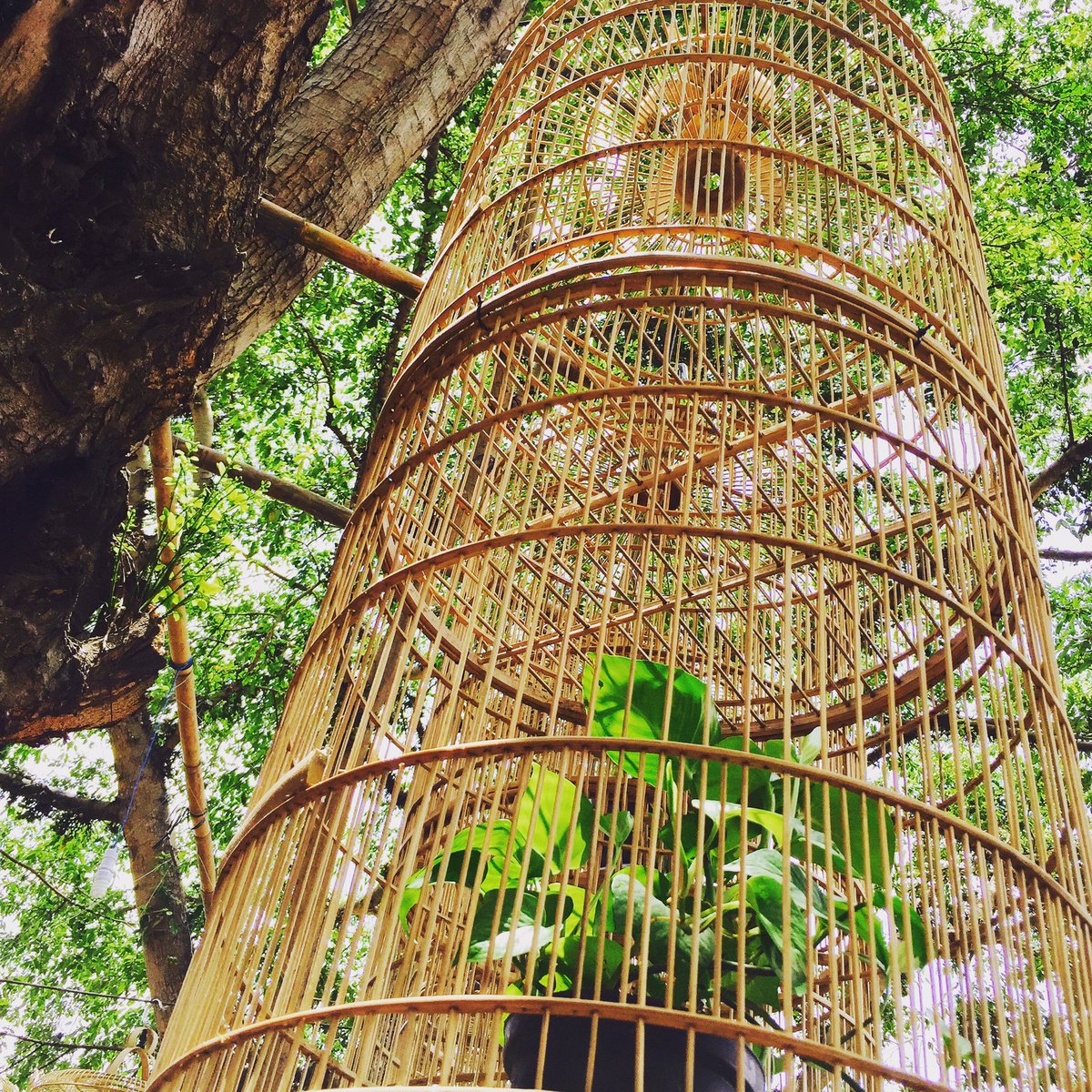 unnoxxx's tweet photo. Bamboo creation snapshot 6 #bamboobiennale2016 #vastenbergforth #bentengvastenburg #solocity #traveleye https://t.co/EqFNxUIT6U