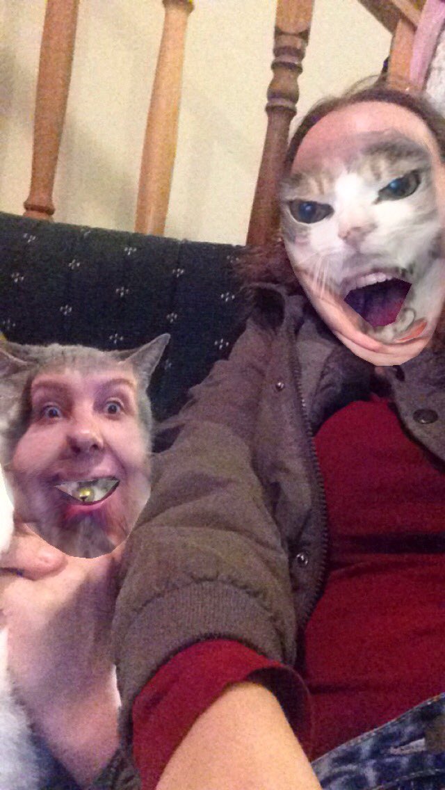 carolynlve's tweet image. @IsabellaLFiori trying to face swap with my cat turned out so bad ahaha 😂😂😂
