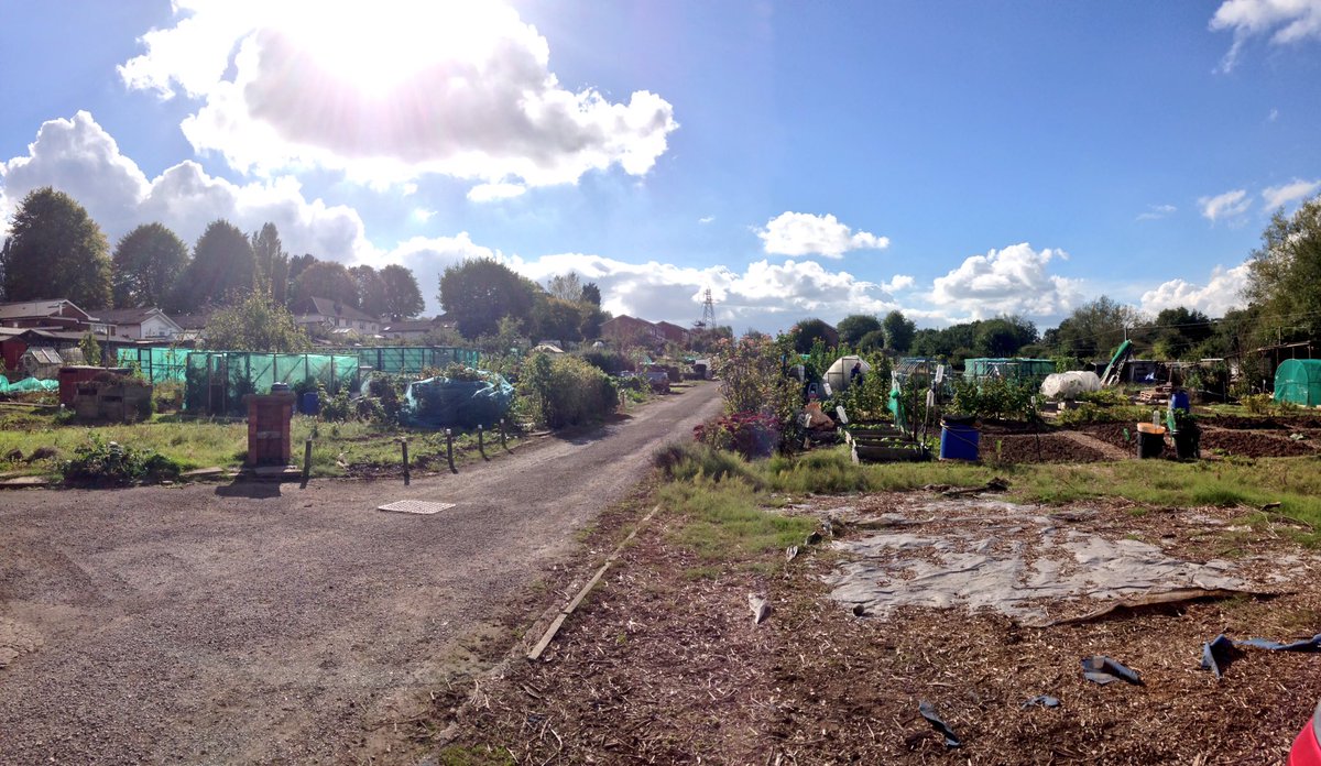 longbridge_tv's tweet photo. Staying positive and motivated at Coney Green Drive Allotments // #LTV on site filming plot holders advice! #longbridge #growing #outdoors https://t.co/ryiMNOAUhl