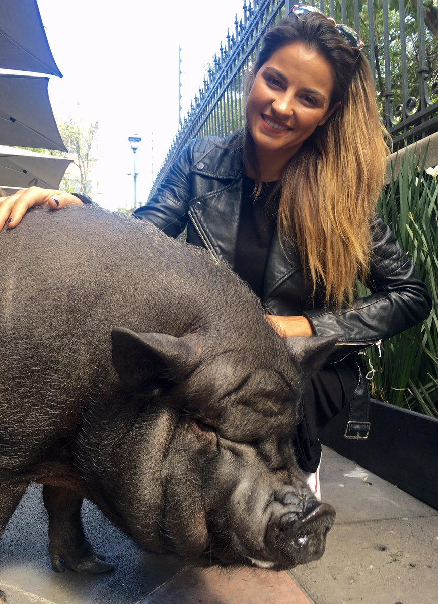 MaBeorlegui's tweet photo. Até a porquinha tem mais sorte do que eu. (@MaiteOficial) y (@LaChataPig) https://t.co/VZ5BG7qVGN