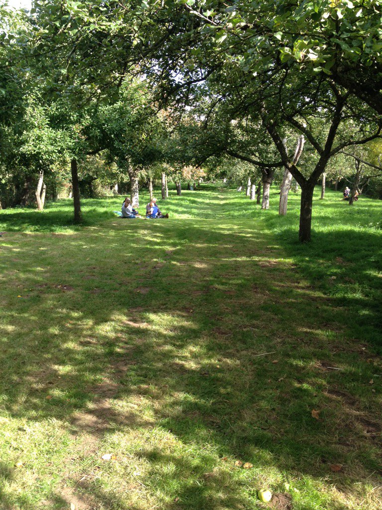 JamesAE's tweet photo. Lunch in the @GreggsPit orchard @Trufflesdeli @TheBigAppleHfd https://t.co/GtflwgHgho