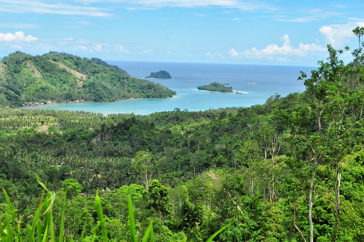 ceritadestinasi's tweet photo. Di perjalanan Bandar #Lampung - Teluk #Kiluan, wisatawan dimanjakan dgn pemandangan bukit dan sawah hijau yang menyejukkan l Foto:F. Rahmat https://t.co/U0F2o8XiM8