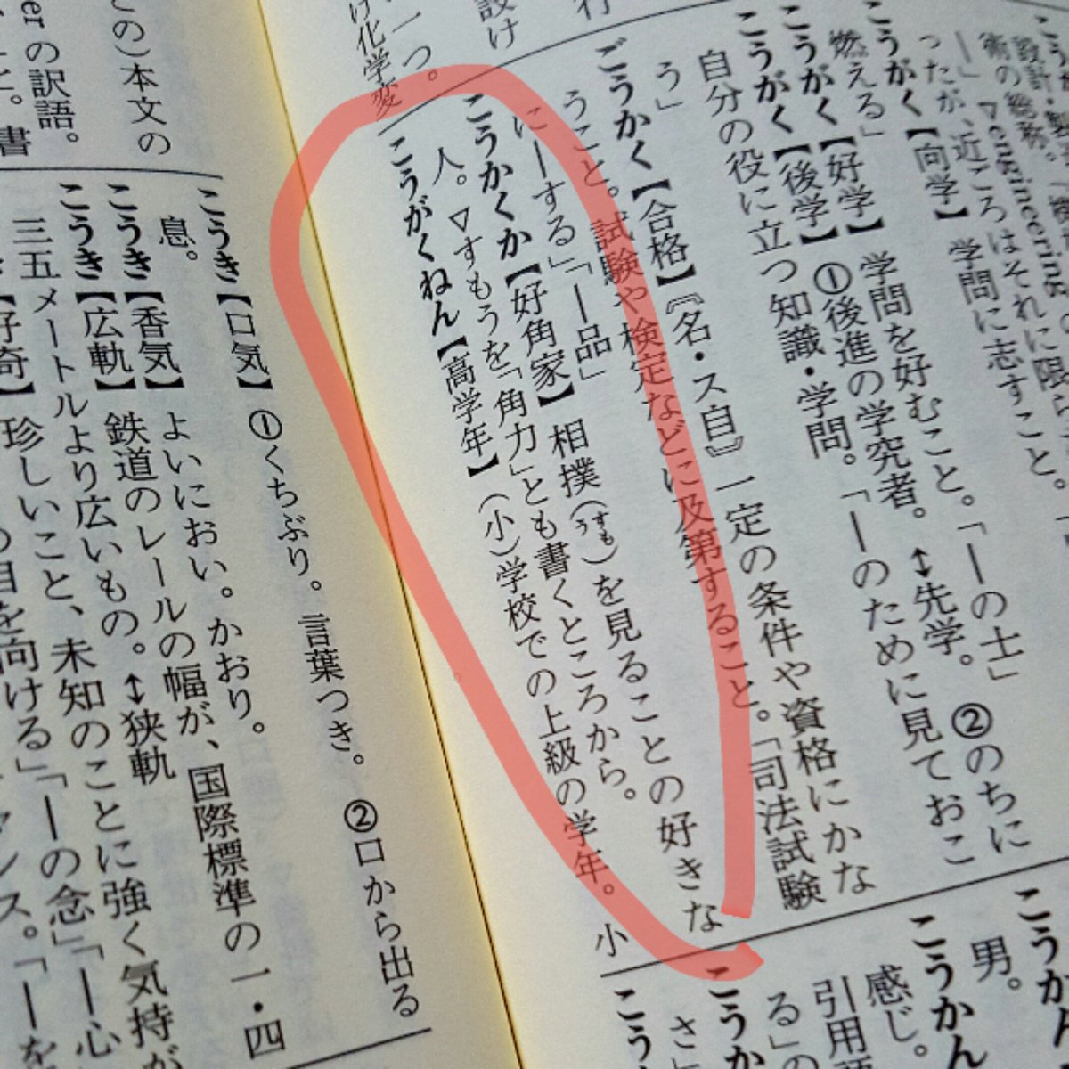 好事家 と評価されたら喜ぶべきか 悲しむべきか 気になる言葉 On 国語辞典