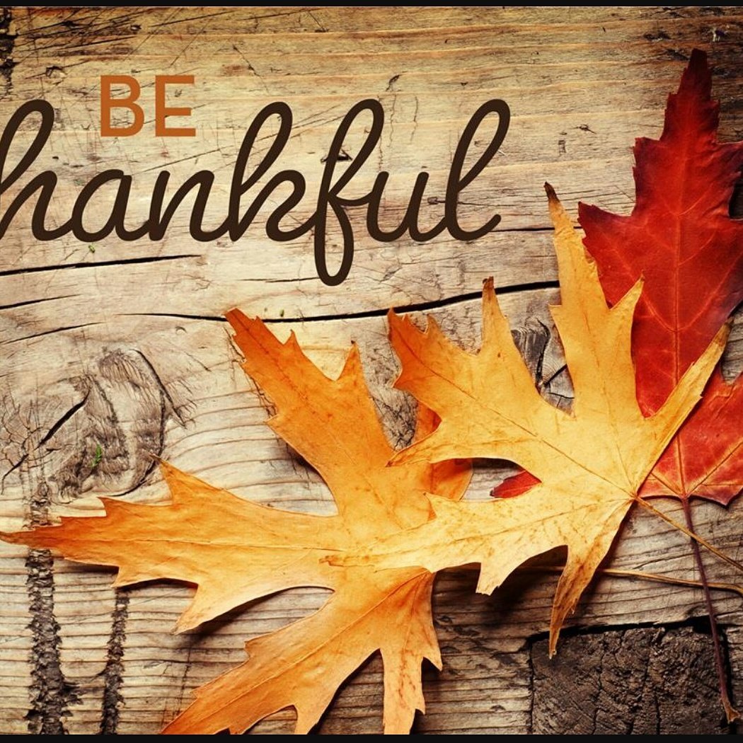 ekrustictimber's tweet photo. Wishing all of our customers and friends who follow our work a very Happy Thanksgiving. 
#thanksgiving #harvest #pei411 #nb411 #ns411 https://t.co/UooI9m0hII
