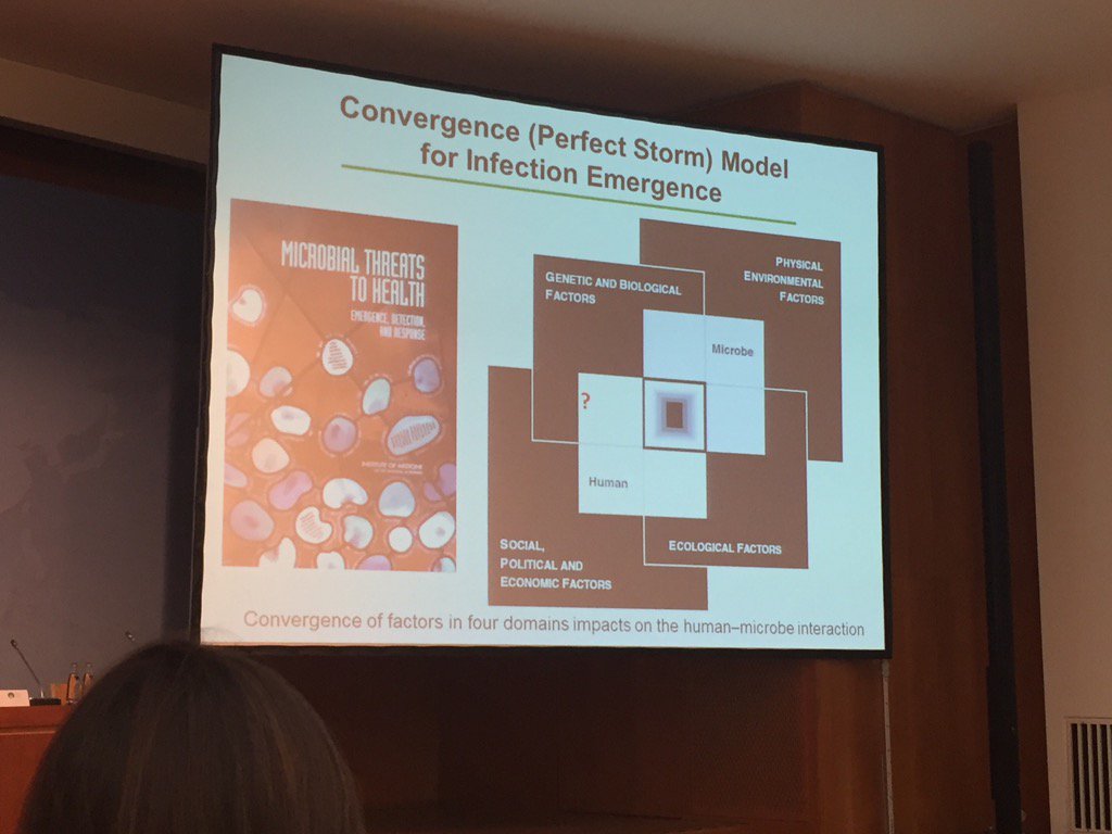 Ilona Kickbusch tweet media