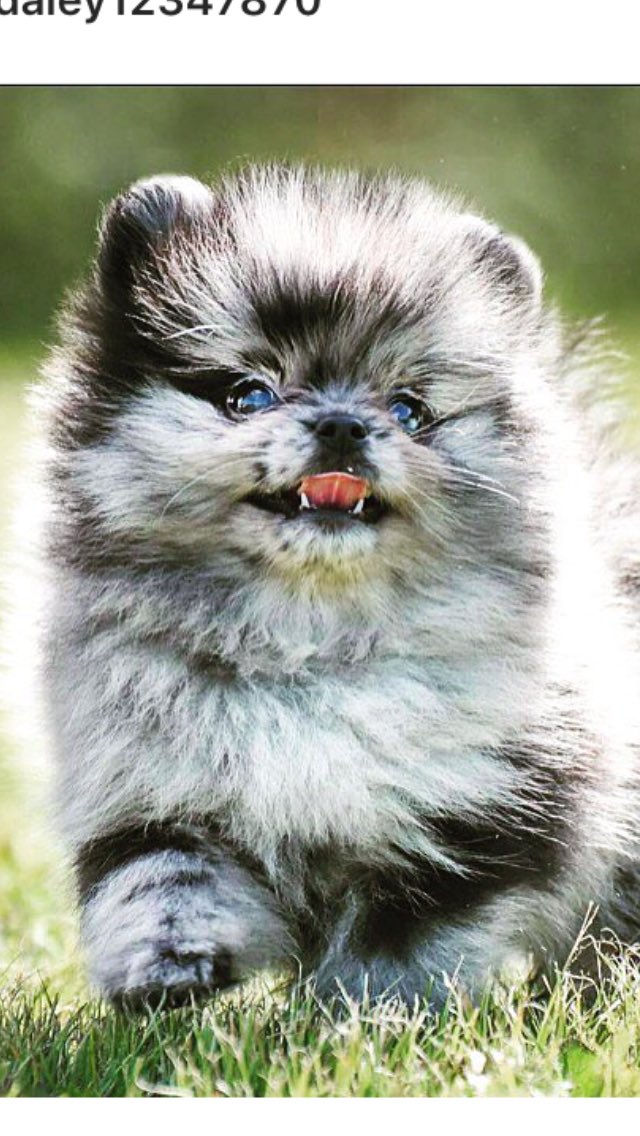 DaleyFish's tweet image. 