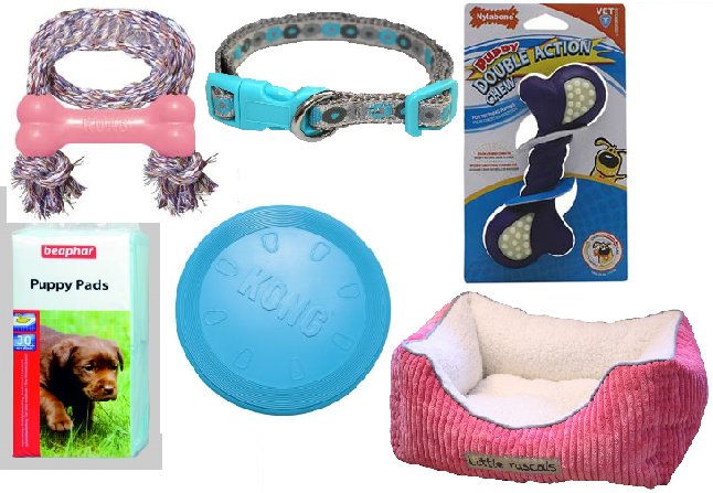 FillYourPaws's tweet image. We have a range of products for puppies, including Toys, bedding etc.. Take a look at our puppy page to see more: ow.ly/vGAa304NNEV