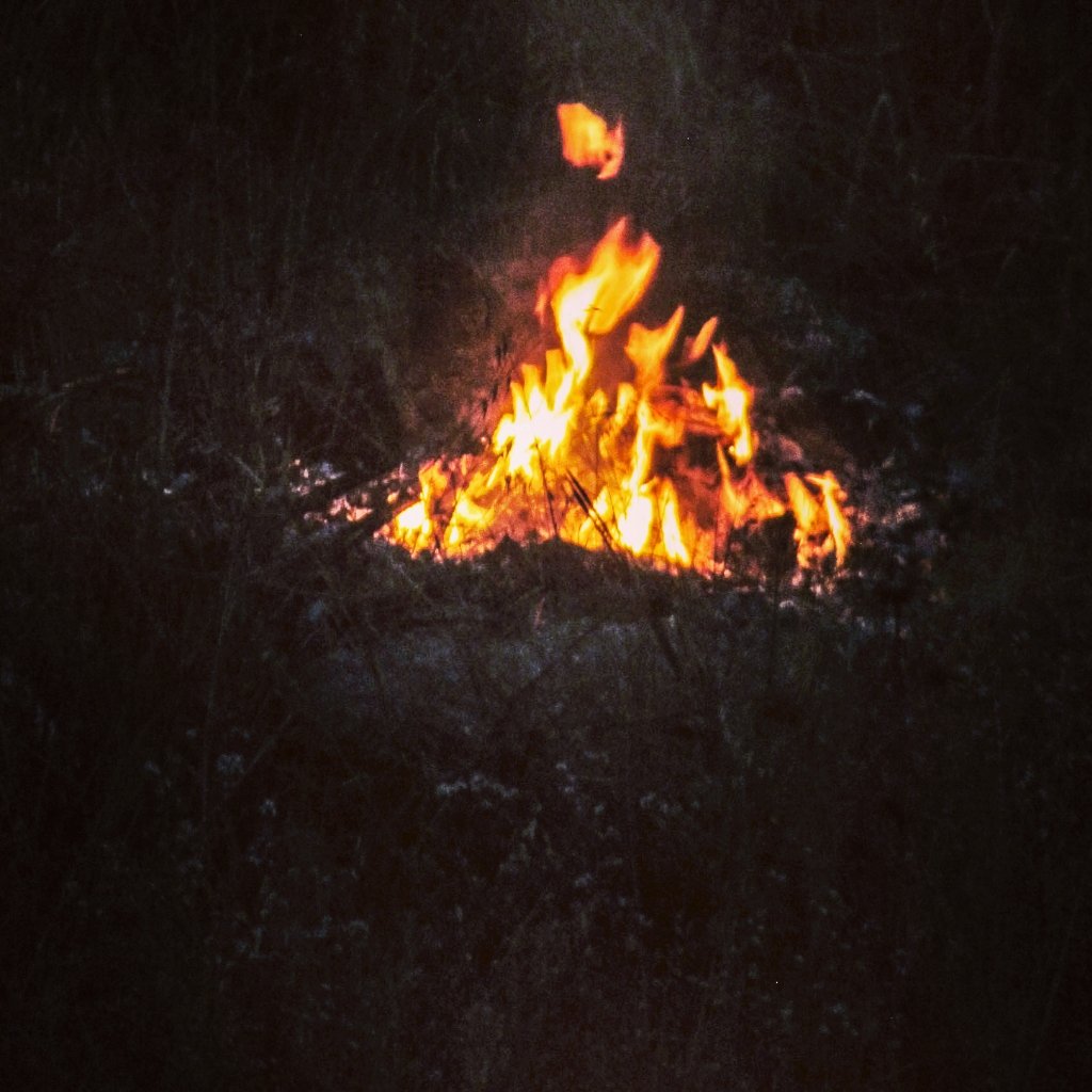 sabermoh4's tweet photo. #fire burning in the #dark #night#darkness #woods #nature #photography #thephotohour #500pxrtg https://t.co/Tph5jCcdnD