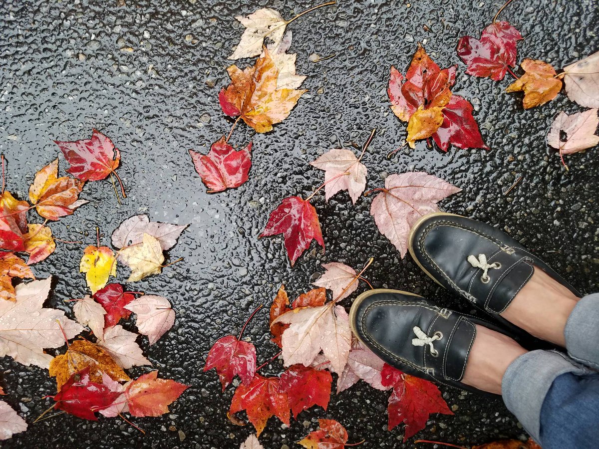 PerennialPrince's tweet photo. Embracing the season #fall #beautiful #love #lazysunday https://t.co/lc2RbsGYcL