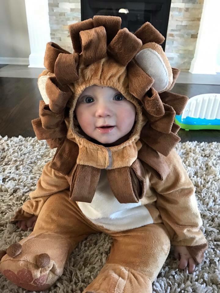 NickSchmatz's tweet photo. @Lions Mini Roary is rooting for you today. Don't let him down! 😂 https://t.co/CkvlSKK0TW
