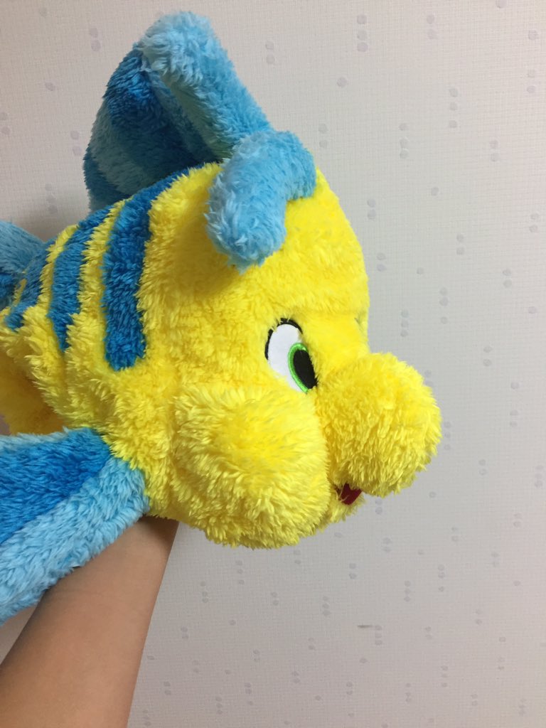 ku_laaav's tweet photo. うちに仲間入りしたよ https://t.co/vP4Dn7yve8
