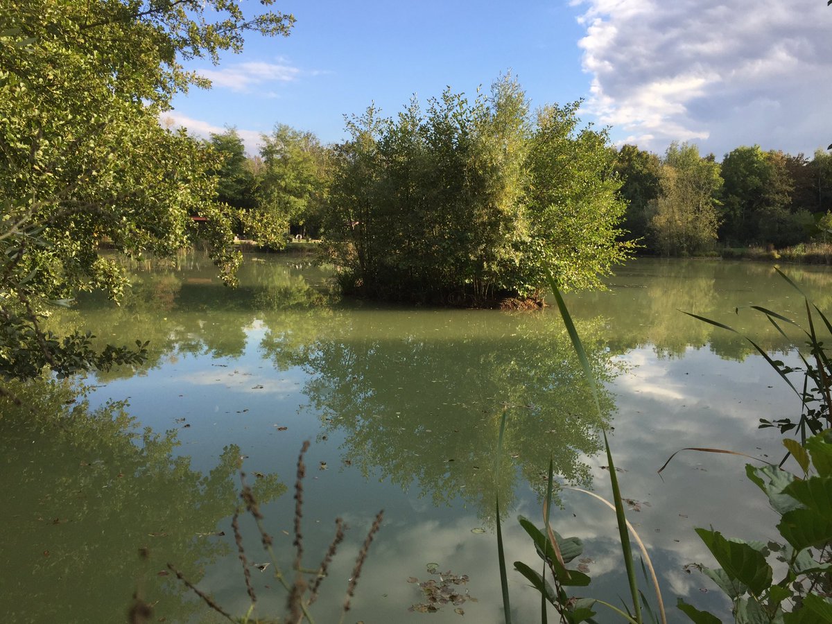 carpedorfishing's tweet photo. Lovely evening D 2 https://t.co/Ld51VVYTJi
